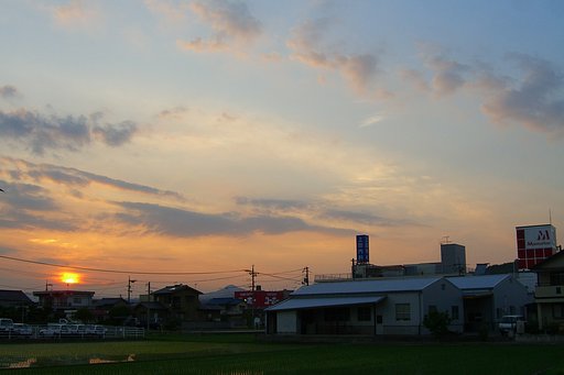 ようやく梅雨が