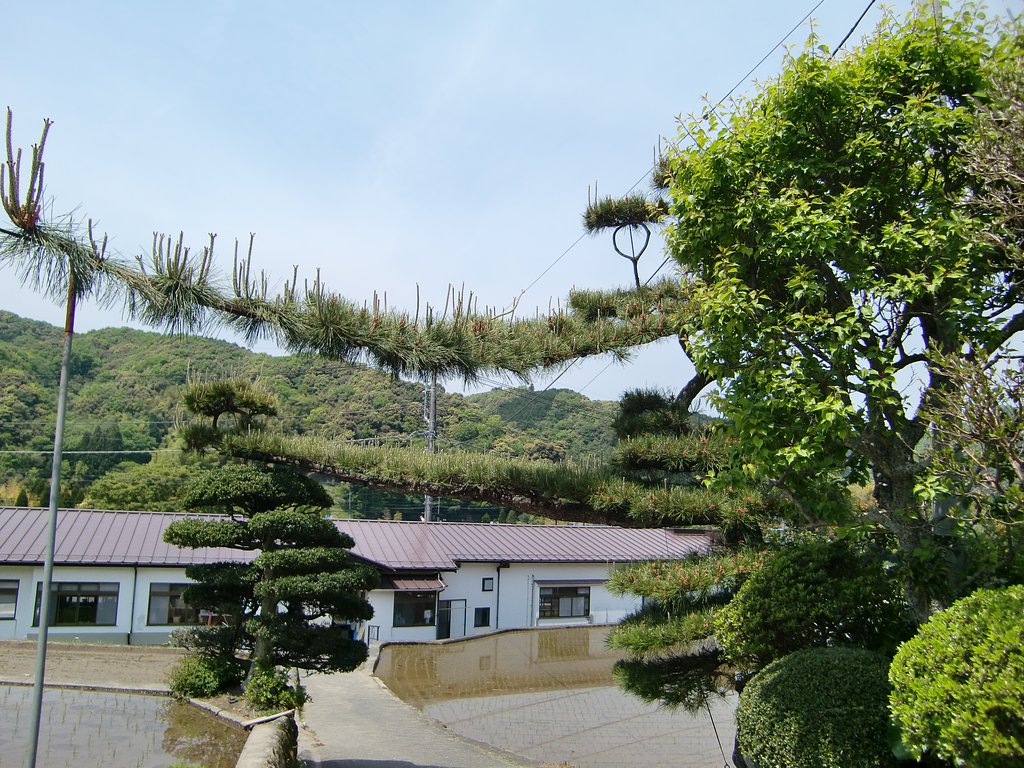どんどん伸びろ！！