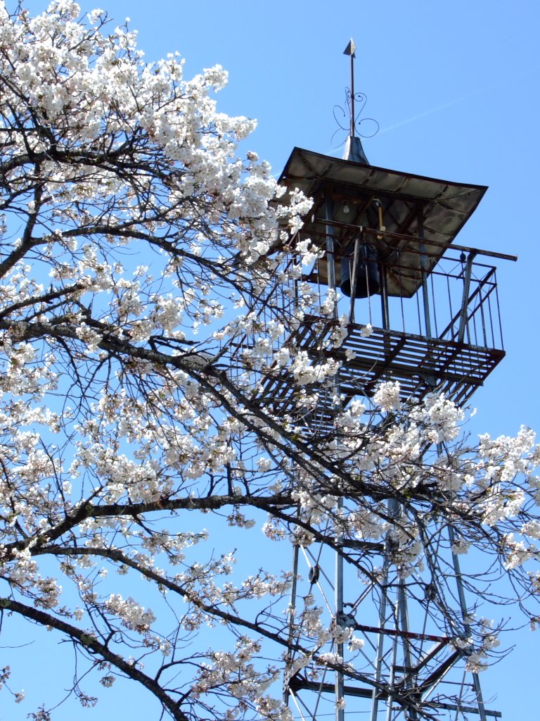 桜と半鐘