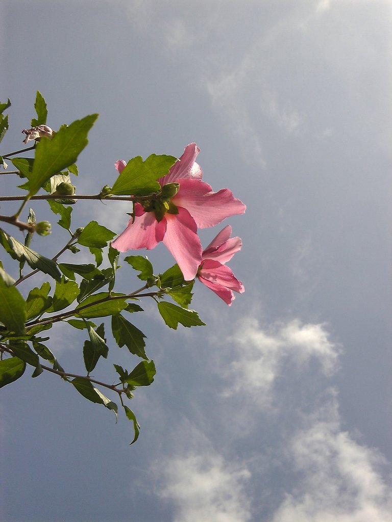 F15.4です。
