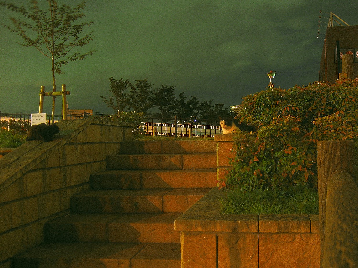 静かな夜