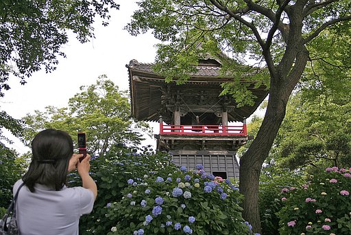 あじさい寺