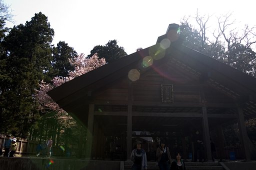 北海道神宮（煙ってた）