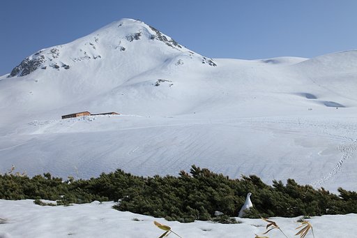 立山にて
