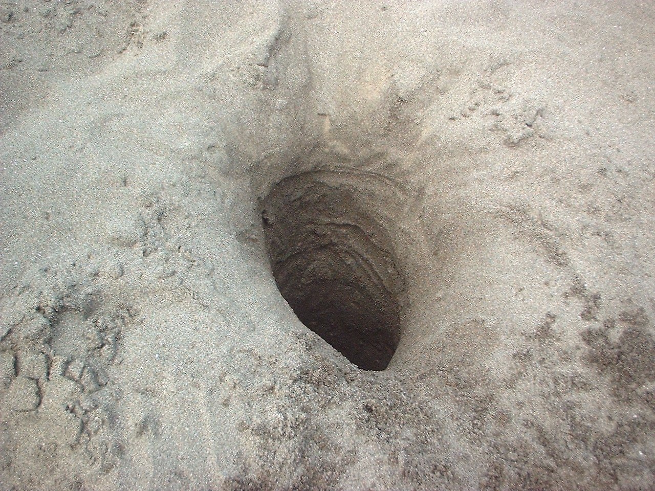 砂遊び