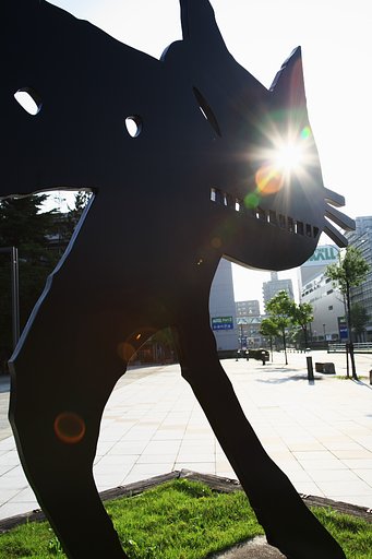 ニャンコの目