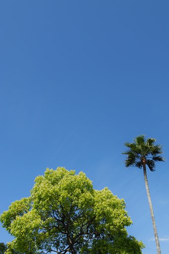 嵐の前の静けさ？