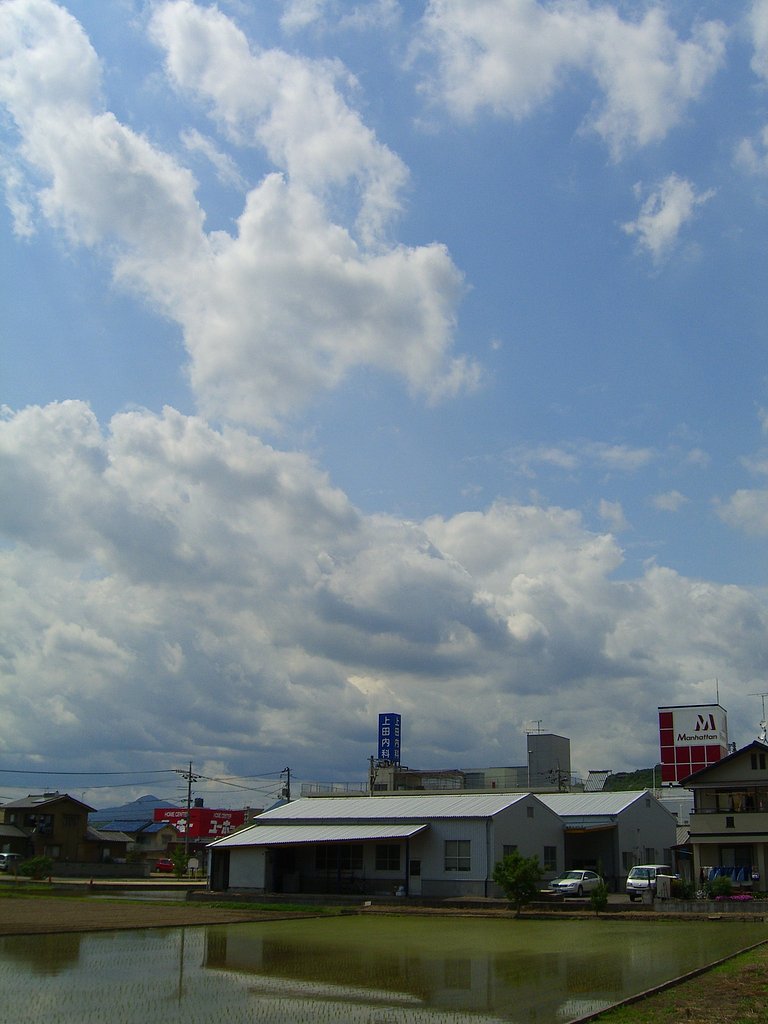 降らず照らず