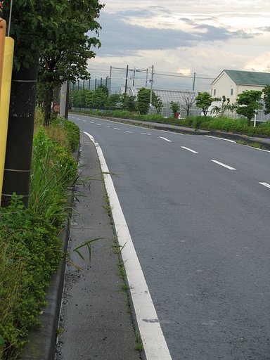 【写川柳】哀愁路
