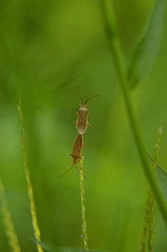 もう、秋だねぇ