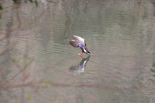 “寸前”シリーズ、久し振りかな？