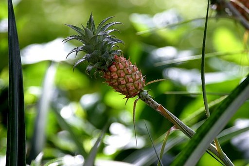 GPS表示は可能でしょうか