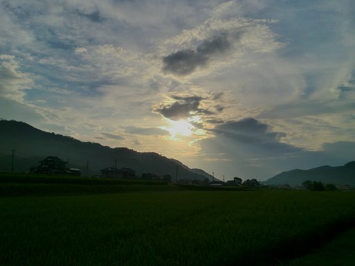 久しぶりに西空に太陽が!