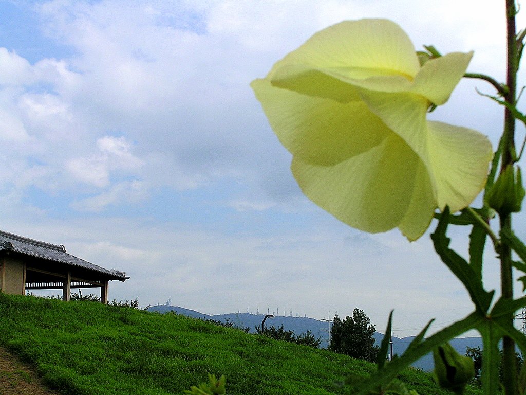 公園風景