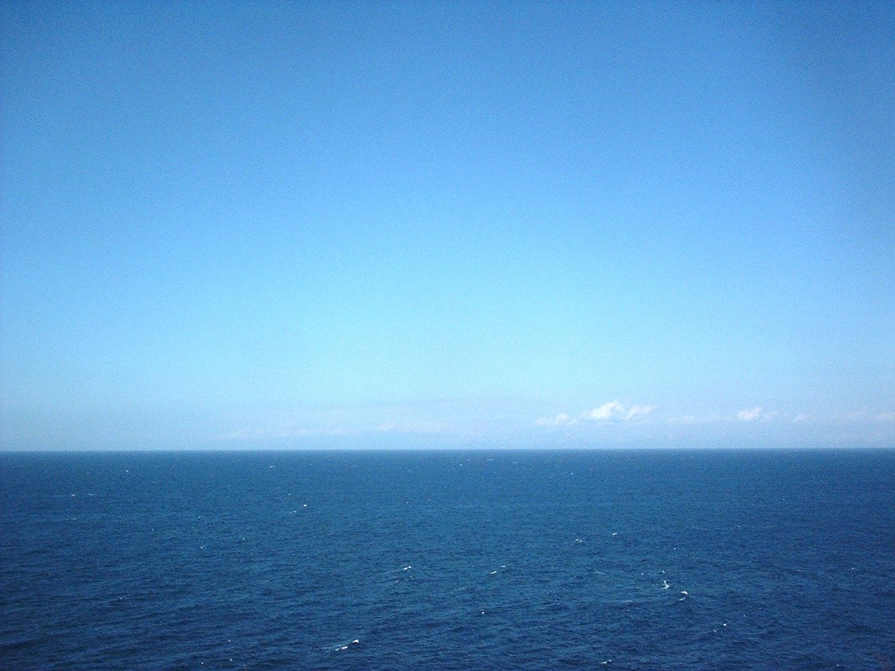 何もない春ですぅー♪