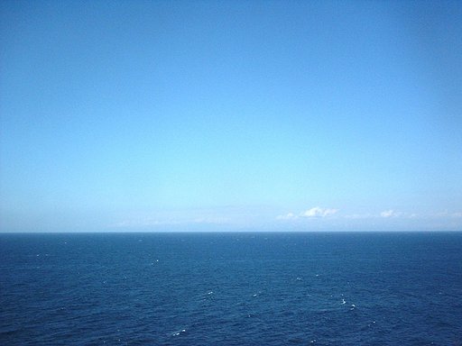 何もない春ですぅー♪