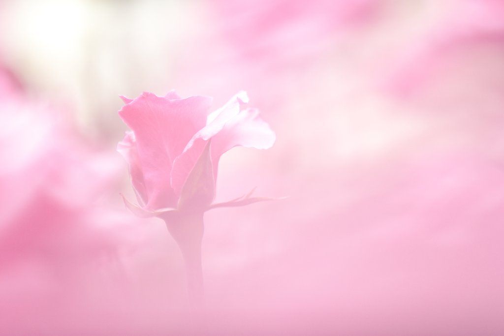 幻惑