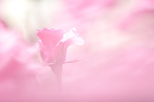 幻惑