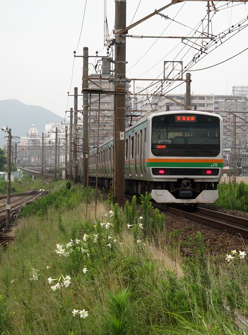 もうすぐ平塚駅