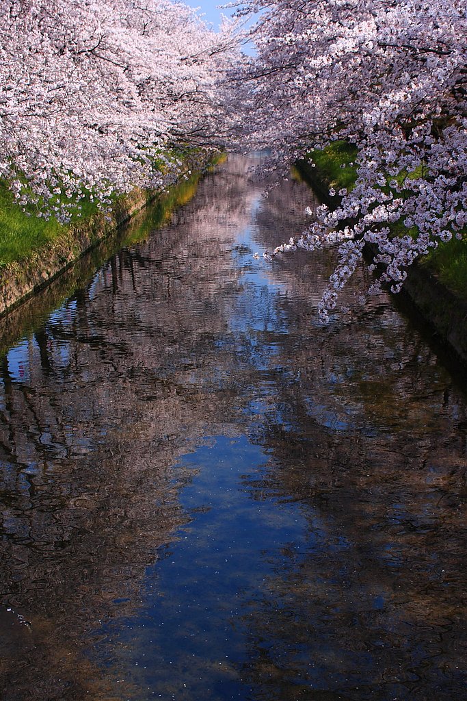 桜川　２