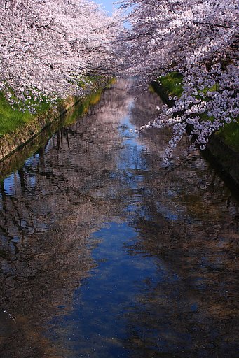 桜川　２