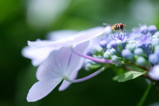 しずかな時間　‐蒼‐