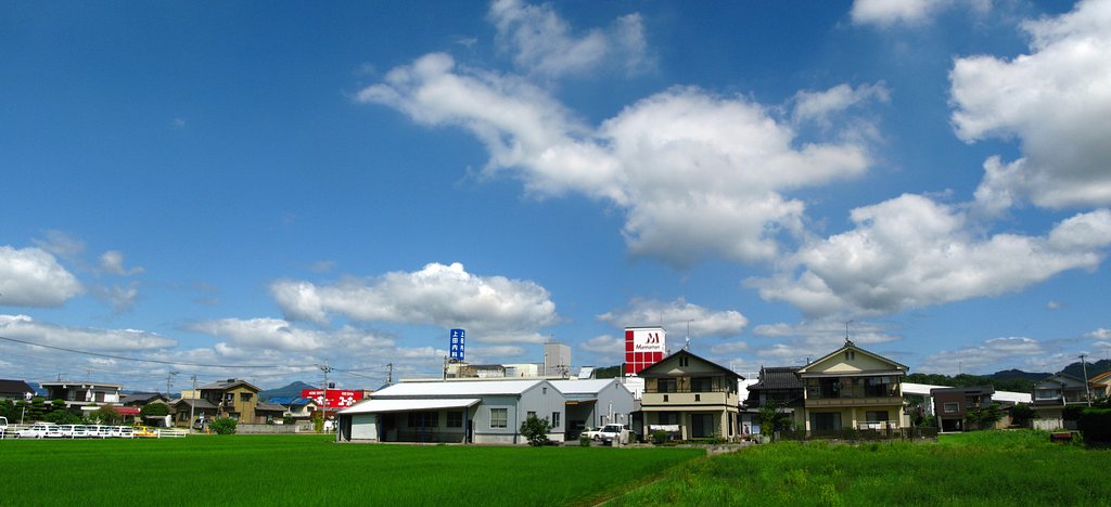 快晴の夏空-定点観測