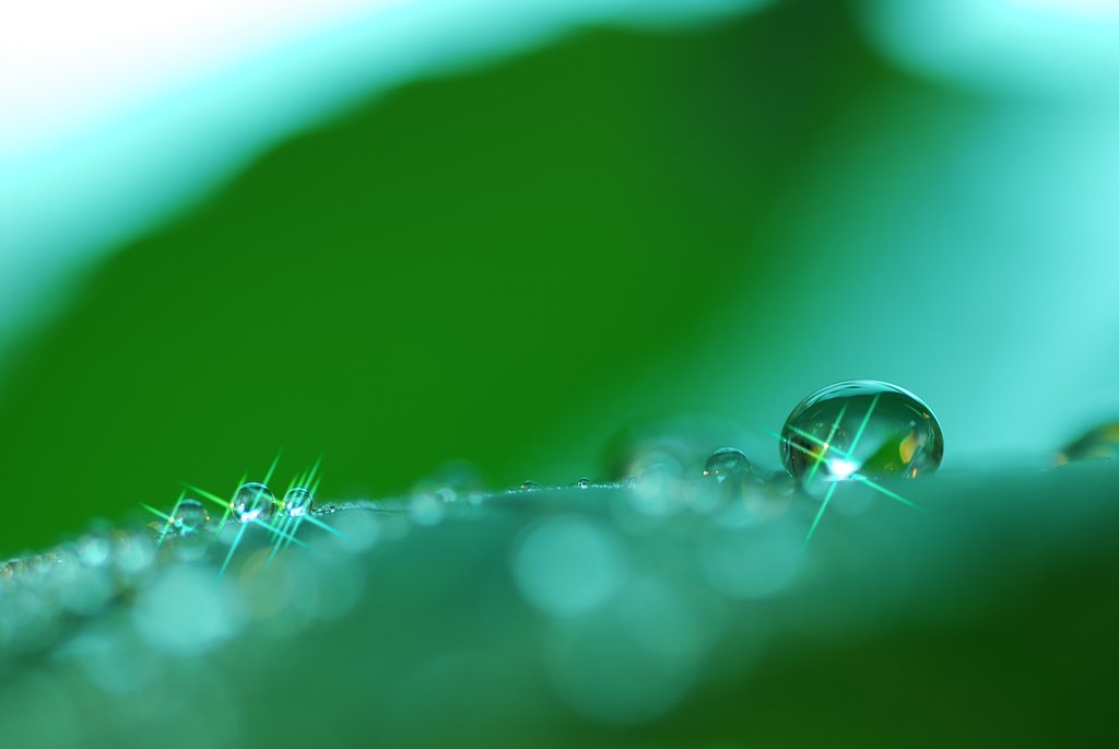 ☆Green☆