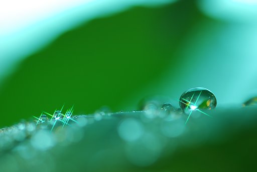 ☆Green☆
