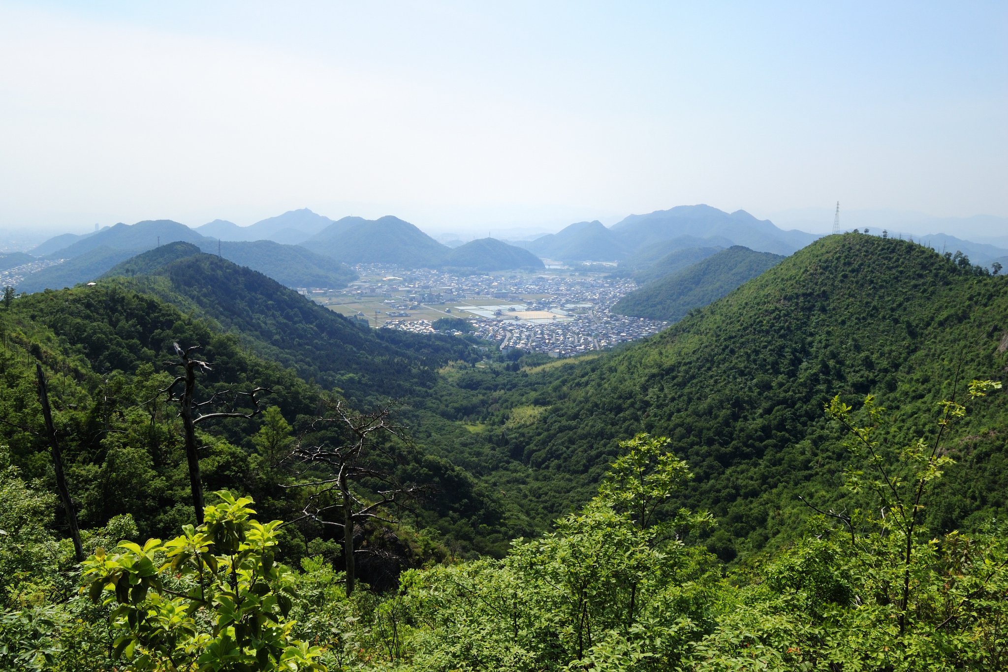 地元の山です