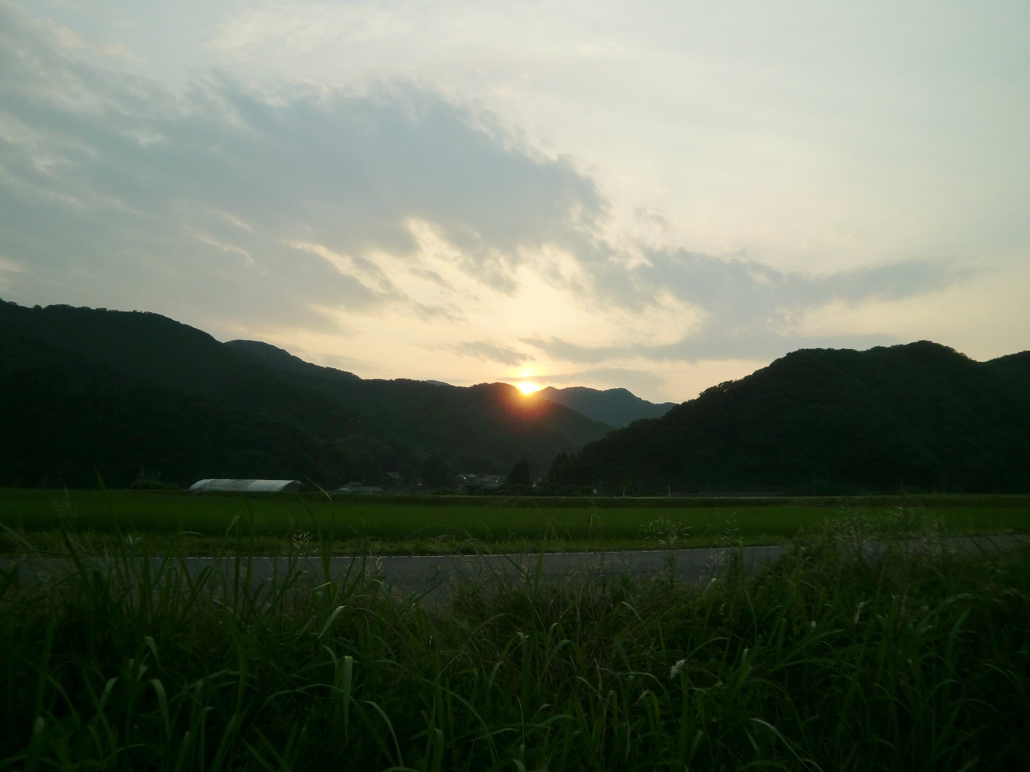 夕焼け色の朝日の出!