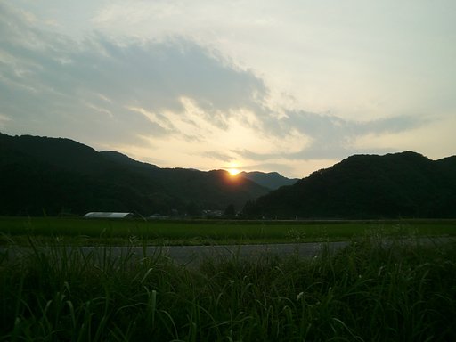 夕焼け色の朝日の出!