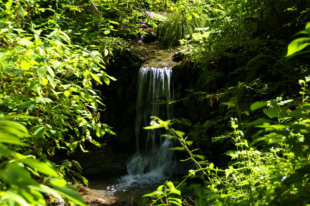 水