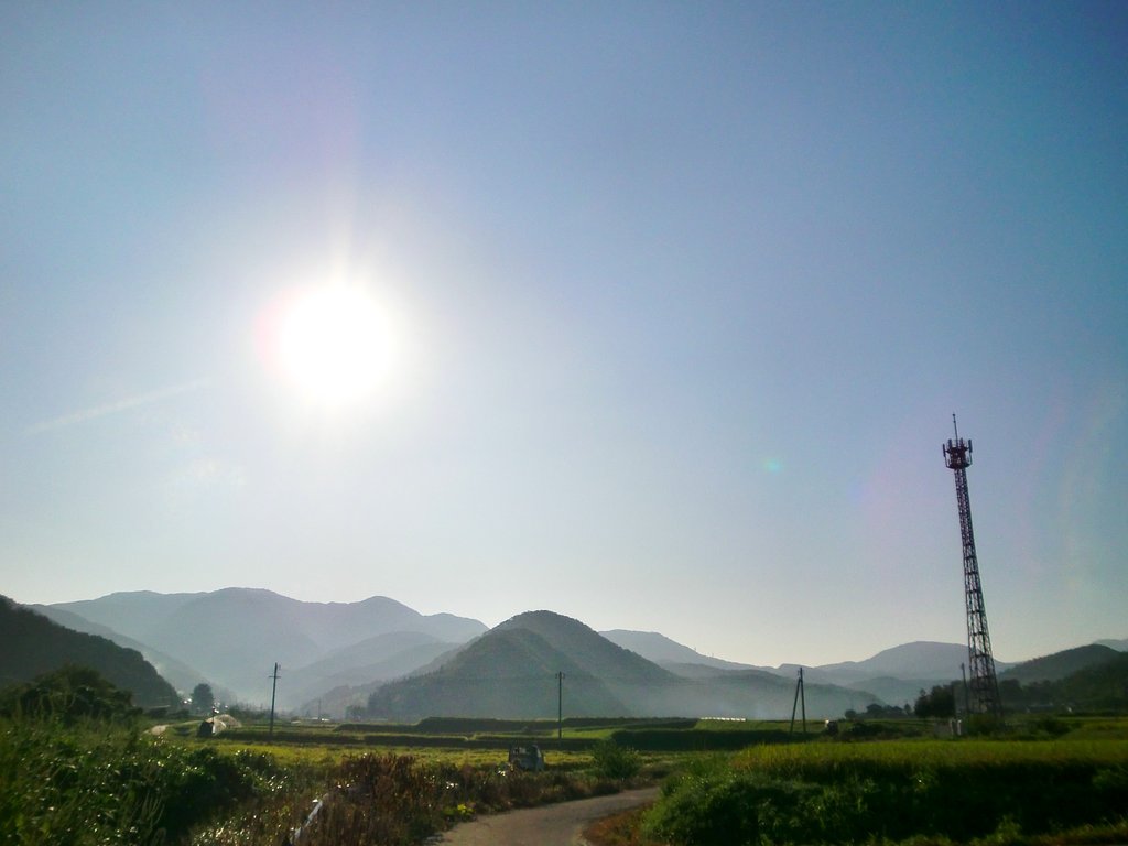 久しぶりの快晴の朝