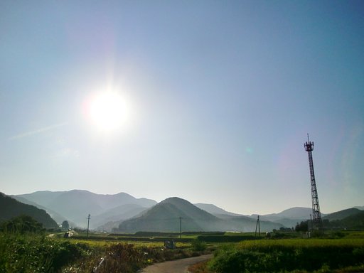 久しぶりの快晴の朝