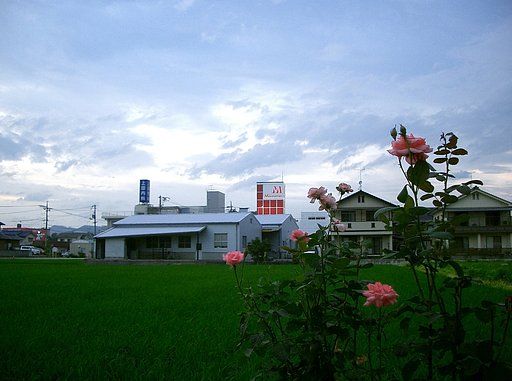 雲流れる