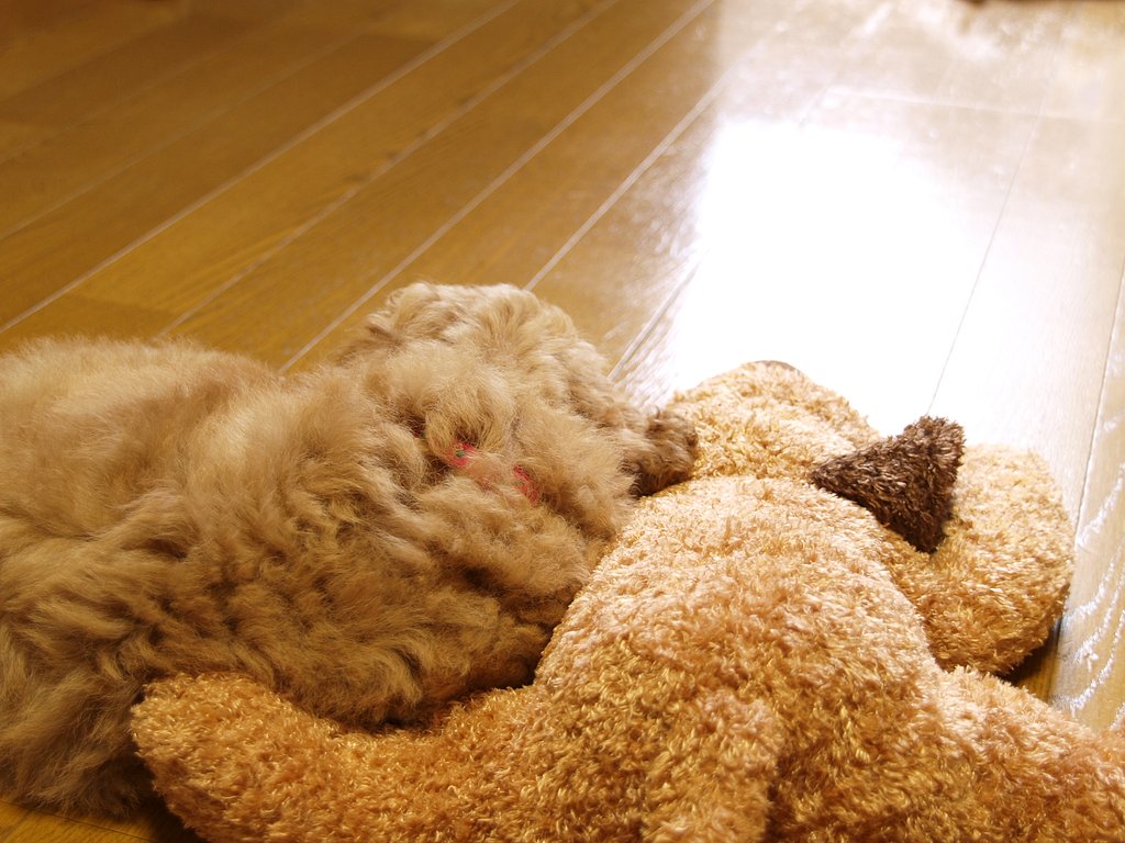 ともだち