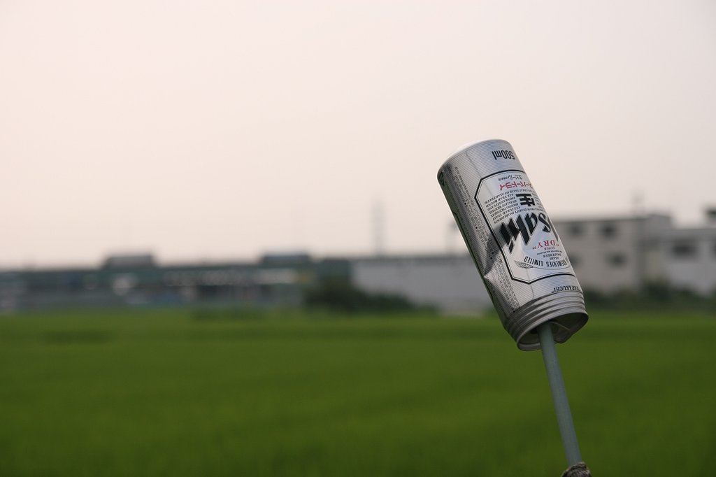 暑い夏の日の朝