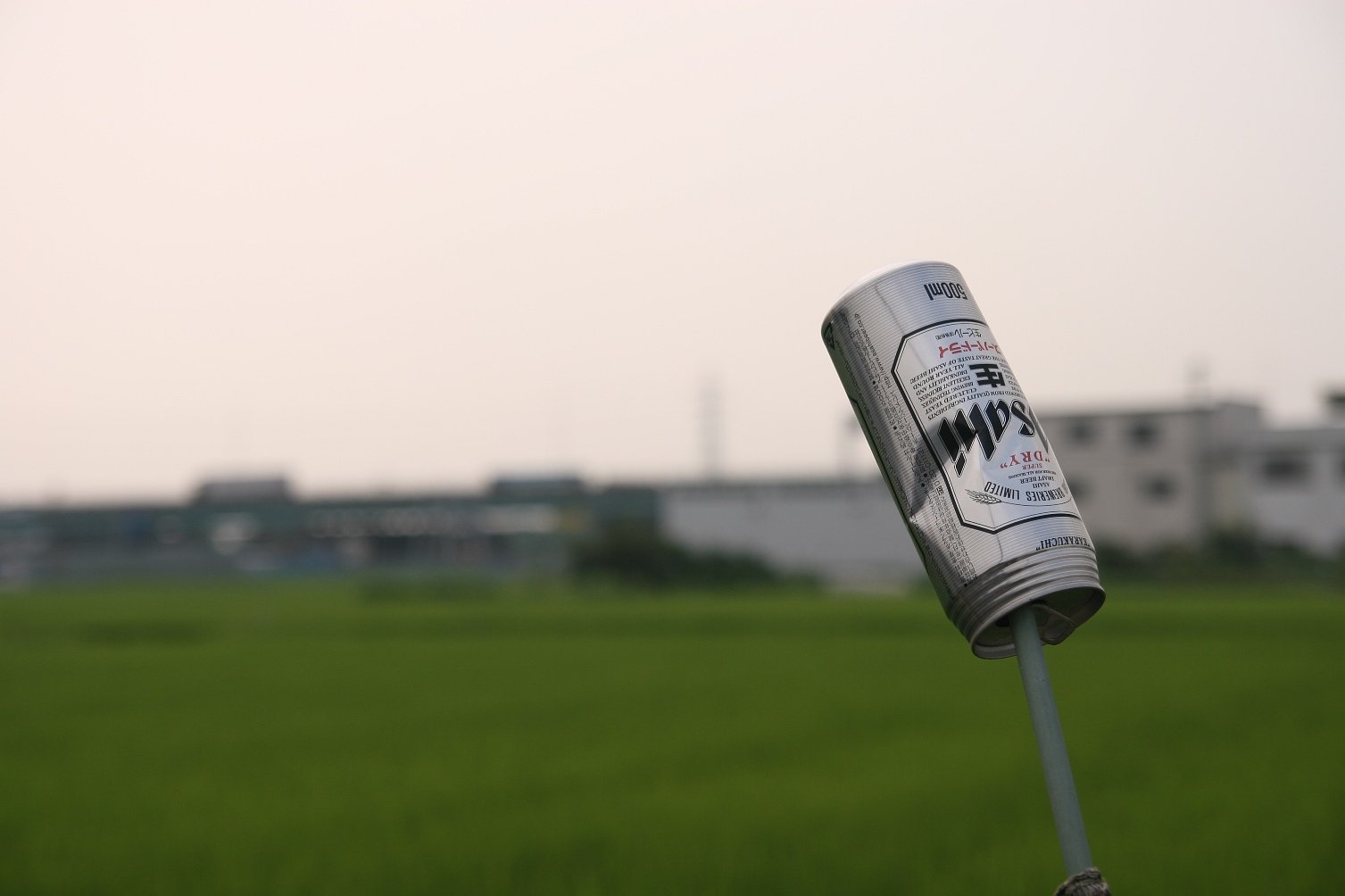 暑い夏の日の朝