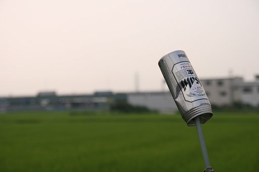 暑い夏の日の朝