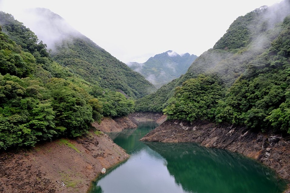 雨上がりの朝