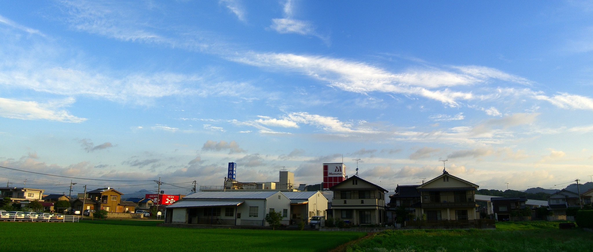 取り合えず快晴なり