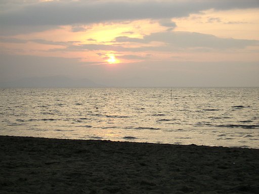 7月の海