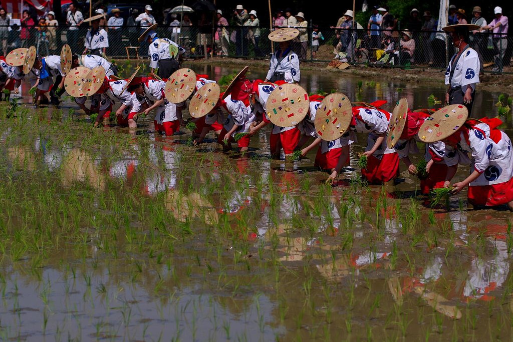 御田植神事（椿大神社）