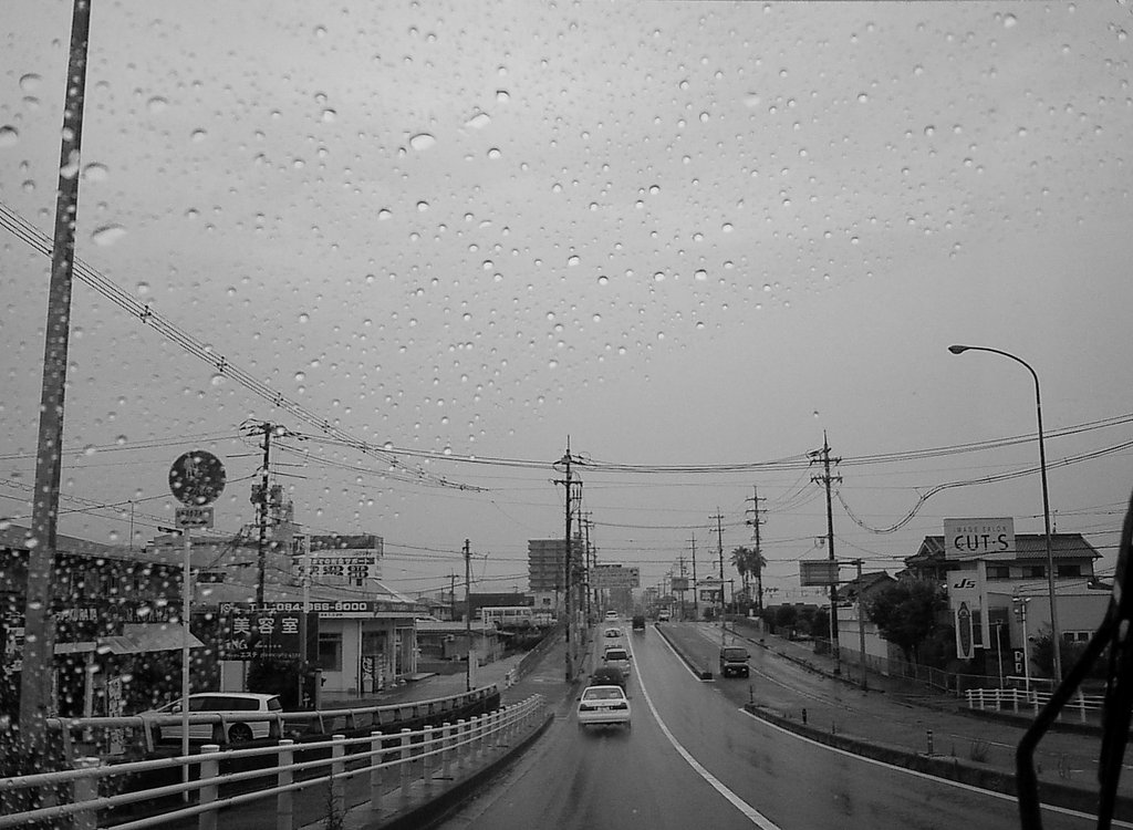 梅雨の雨