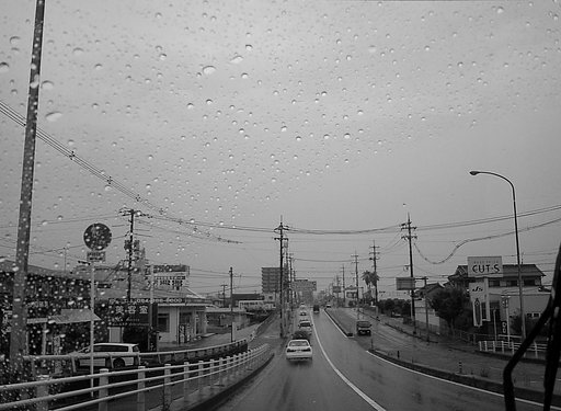 梅雨の雨