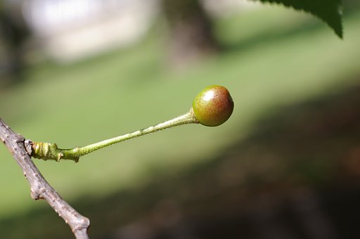 これなーんだ
