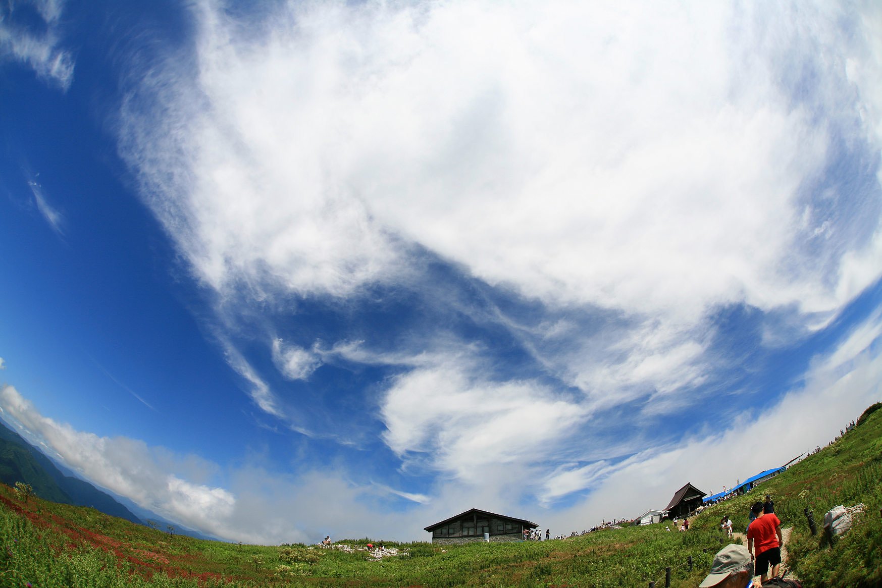 【写川柳】山