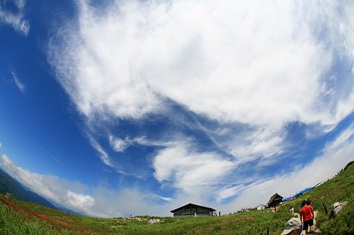 【写川柳】山
