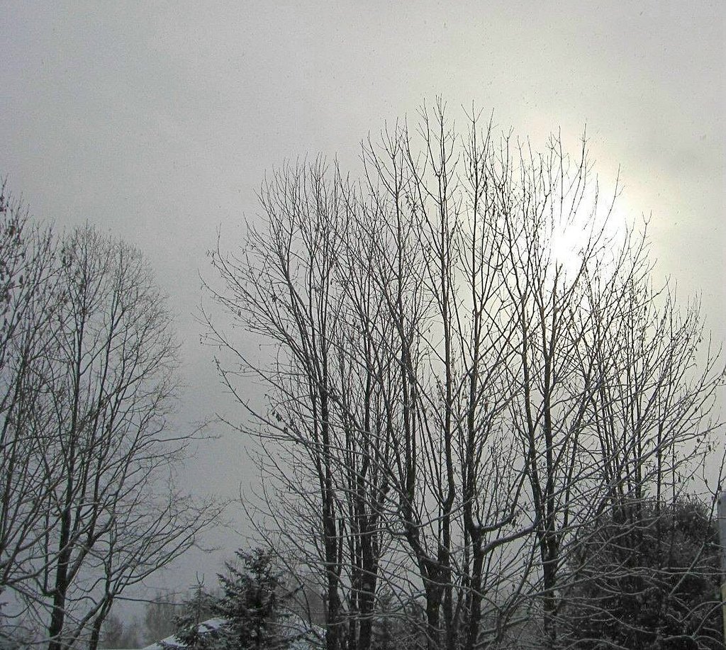 雪降る北海道